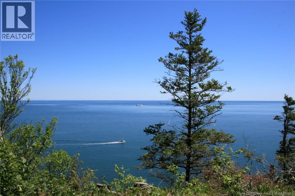 Lot 04-08 Seven Days Work Drive, Grand Manan, New Brunswick E5G 1B4 - Photo 7 - NB148419