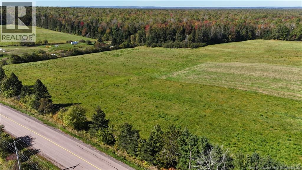 Lot 05-1 Route 134, Shediac Cape, New Brunswick  E4P 3E6 - Photo 10 - NB148567