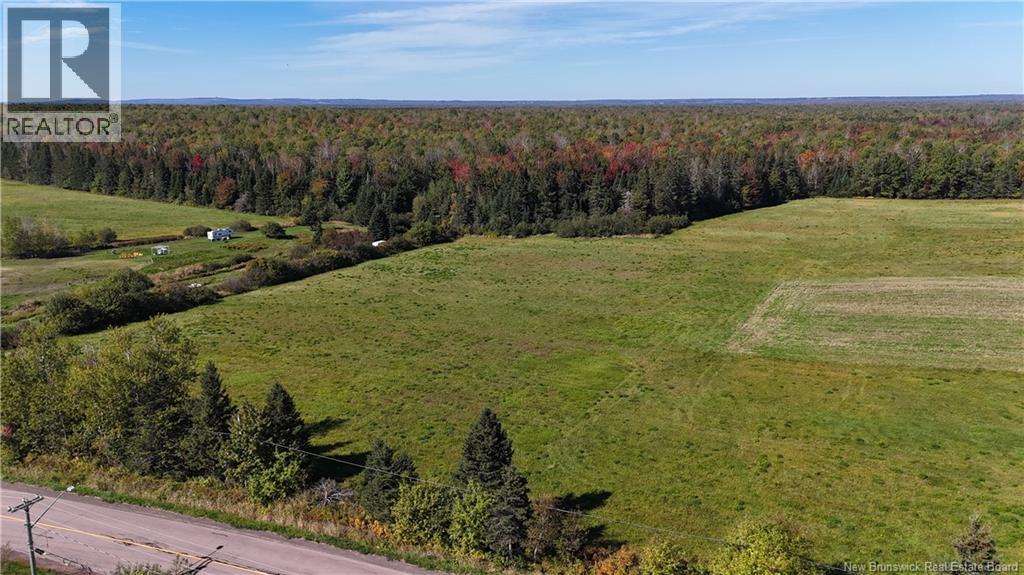 Lot 05-1 Route 134, Shediac Cape, New Brunswick  E4P 3E6 - Photo 9 - NB148567