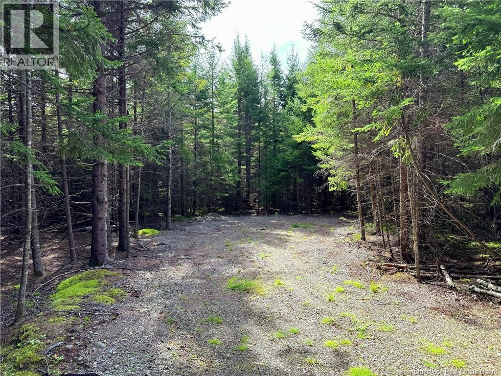 5 Spurline Avenue, Pennfield, New Brunswick