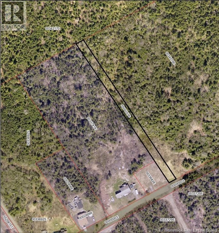 Goldsworthy Road, Black River, New Brunswick  E2J 4V1 - Photo 2 - NB148558
