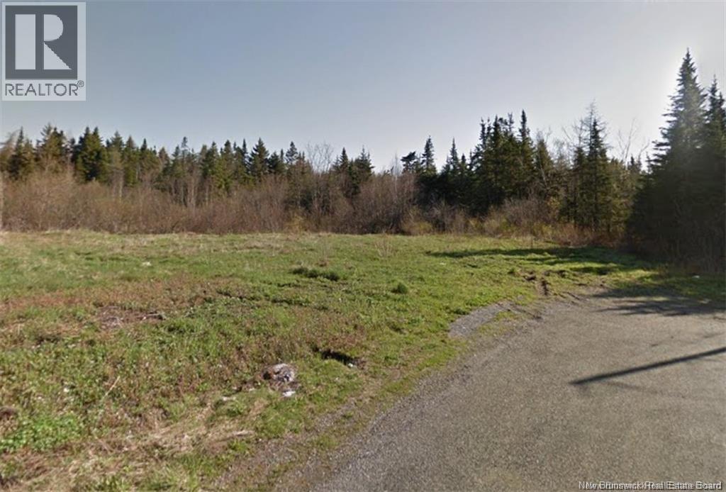 Goldsworthy Road, Black River, New Brunswick  E2J 4V1 - Photo 3 - NB148558