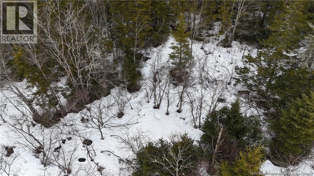 Goldsworthy Road, Black River, New Brunswick  E2J 4V1 - Photo 4 - NB148558