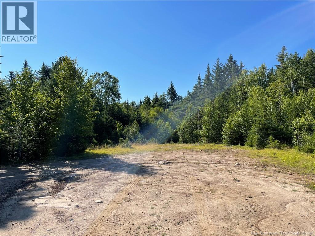 Edgar Lane Extension, Pennfield, New Brunswick  E5A 1E2 - Photo 16 - NB148647