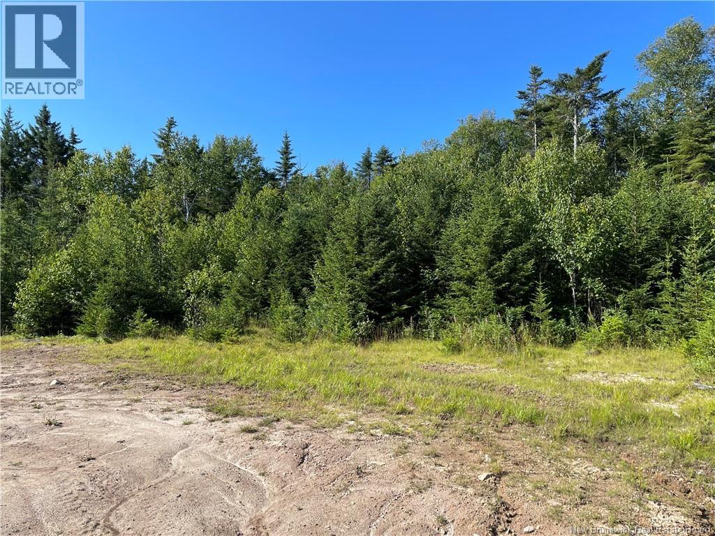 Edgar Lane Extension, Pennfield, New Brunswick  E5A 1E2 - Photo 17 - NB148647
