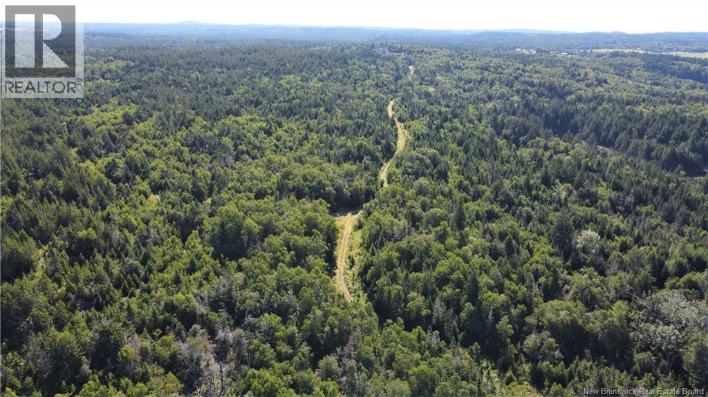 Edgar Lane Extension, Pennfield, New Brunswick  E5A 1E2 - Photo 20 - NB148647