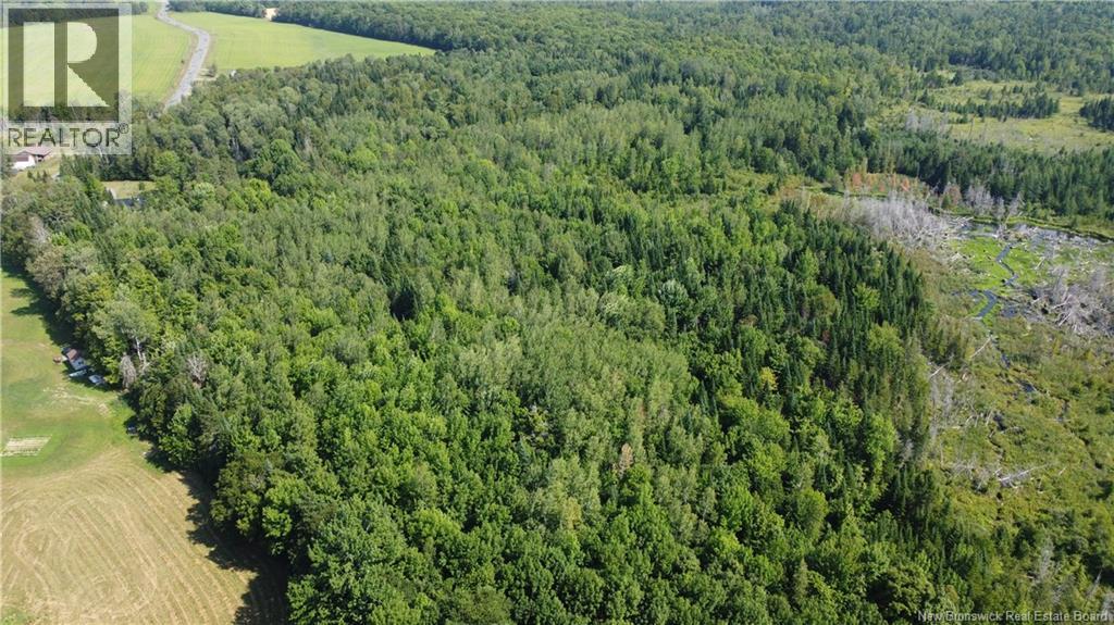 0 Raymond, Simonds, New Brunswick  E7P 2X2 - Photo 5 - NB148657