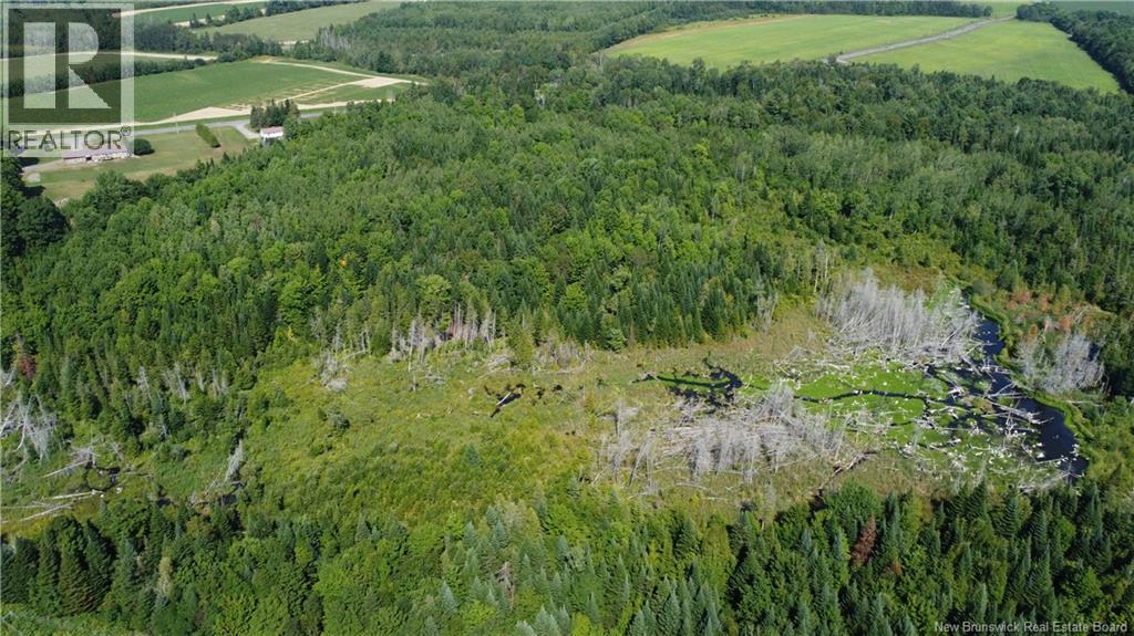 0 Raymond, Simonds, New Brunswick  E7P 2X2 - Photo 6 - NB148657