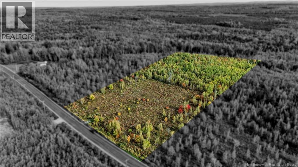 Lot Middlesex Road, Colpitts Settlement, New Brunswick  E4J 1G7 - Photo 1 - NB148655