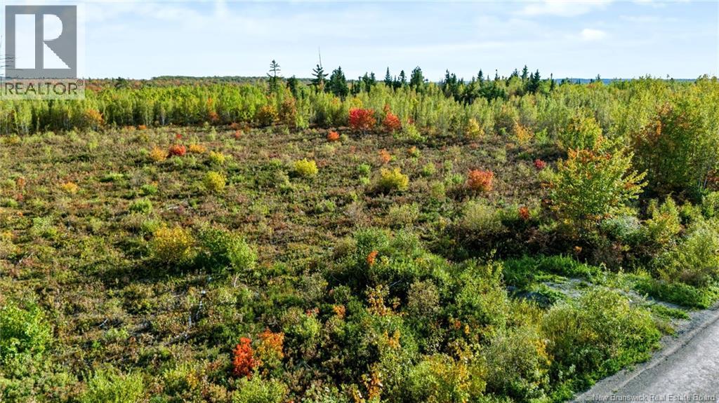 Lot Middlesex Road, Colpitts Settlement, New Brunswick  E4J 1G7 - Photo 21 - NB148655