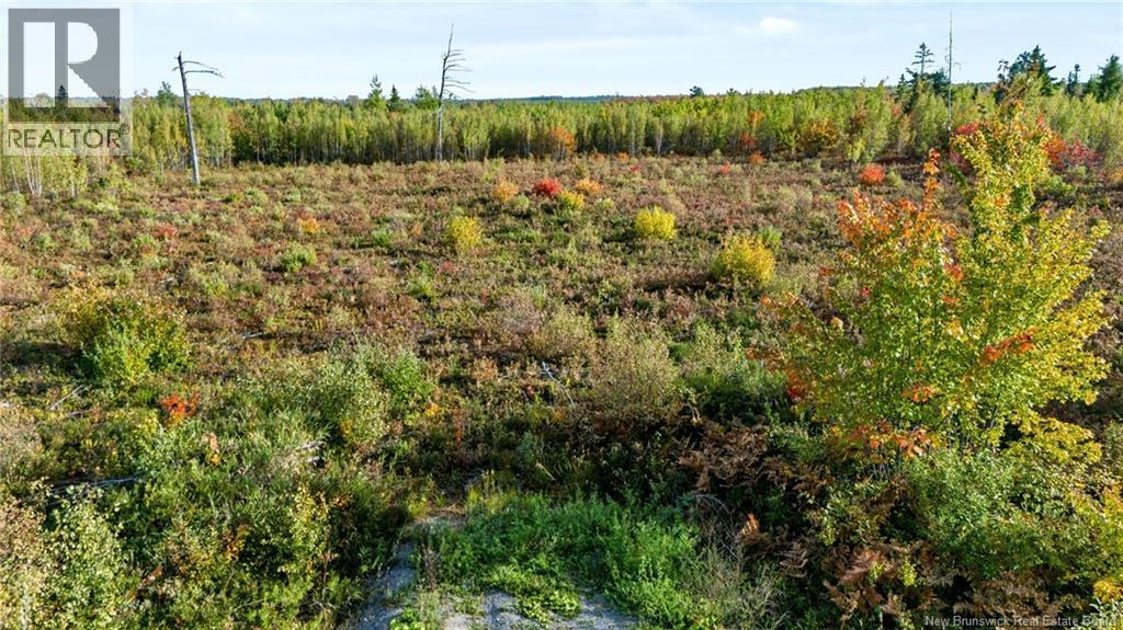 Lot Middlesex Road, Colpitts Settlement, New Brunswick  E4J 1G7 - Photo 24 - NB148655