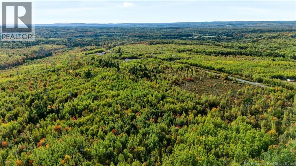 Lot Middlesex Road, Colpitts Settlement, New Brunswick  E4J 1G7 - Photo 8 - NB148655