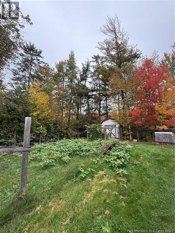 1285 Route 10, Noonan, New Brunswick  E3A 7H7 - Photo 30 - NB148714