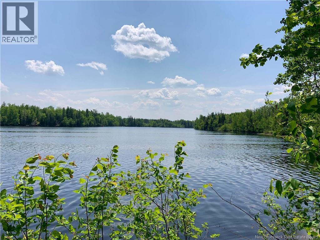 Lot North Black River, Black River-Hardwicke, New Brunswick  E1N 5T3 - Photo 8 - NB148305