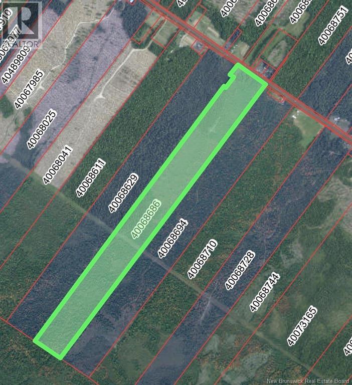 Vacant Lot Route 11, Redmondville, New Brunswick  E1N 5C7 - Photo 2 - NB148838