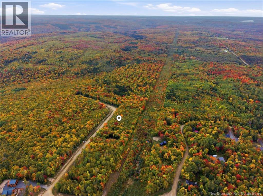 Na Raven Ridge Road, Central Hainesville, New Brunswick  O0O 0O0 - Photo 4 - NB148621