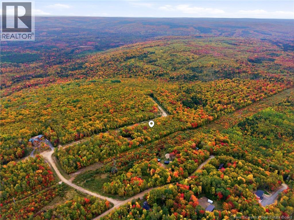 Na Raven Ridge Road, Central Hainesville, New Brunswick  O0O 0O0 - Photo 5 - NB148621