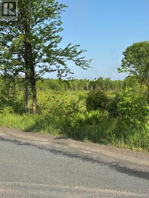 000 Upper Tower Hill Road, Tower Hill, New Brunswick  E5A 2P3 - Photo 8 - NB148762