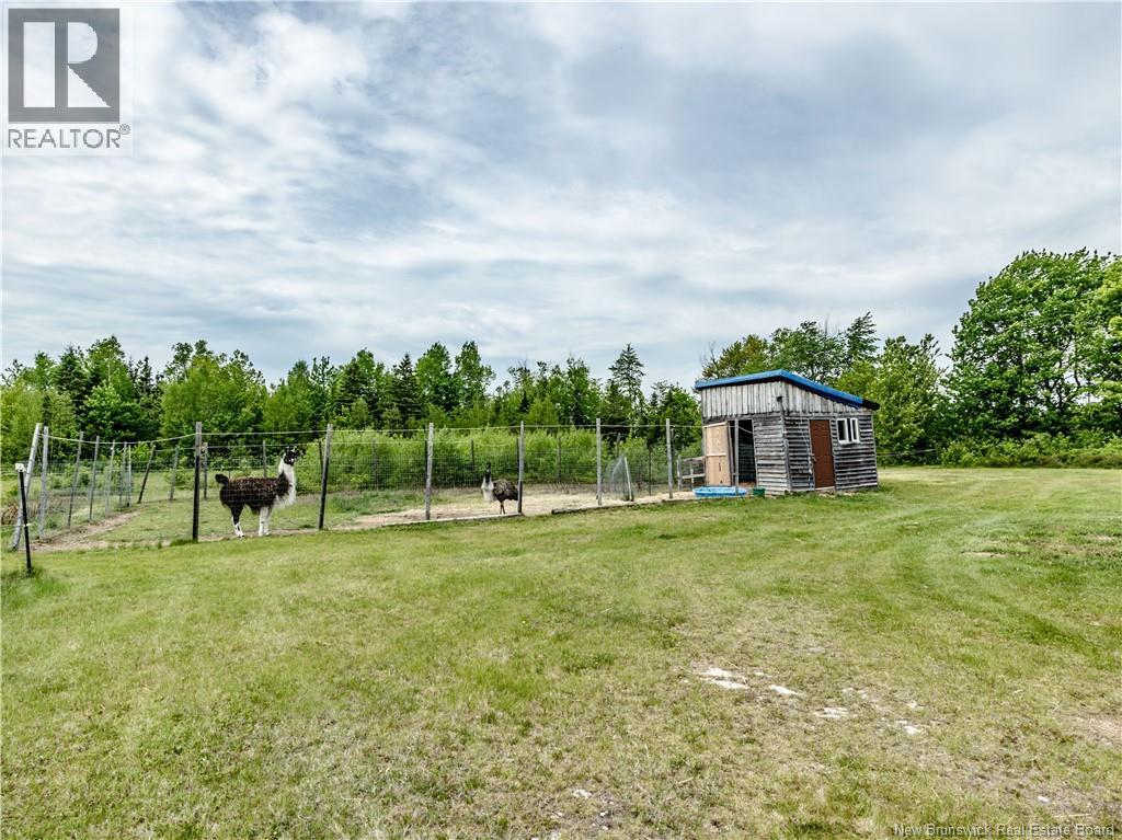 310 Ch Johnson Rd, Rogersville, New Brunswick  E4Y 1L2 - Photo 41 - NB148727
