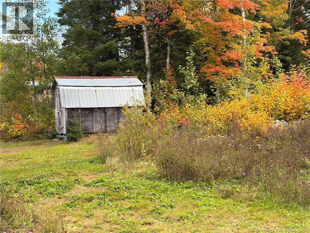 343 Hilltop Road, Hilltop, New Brunswick  E9E 1S3 - Photo 25 - NB148641