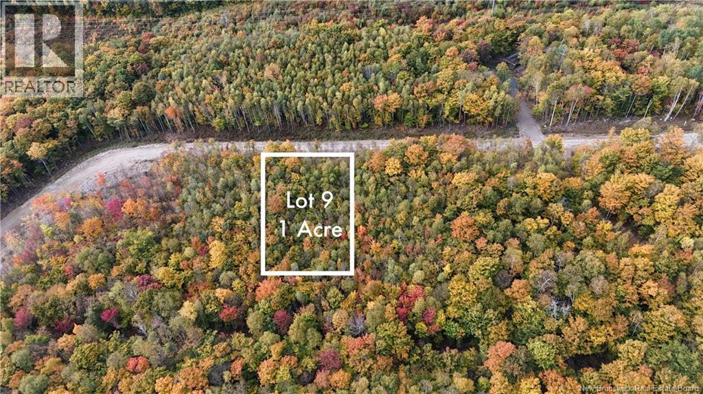 LOT 9 Raven Ridge Road, Central Hainesville, New Brunswick