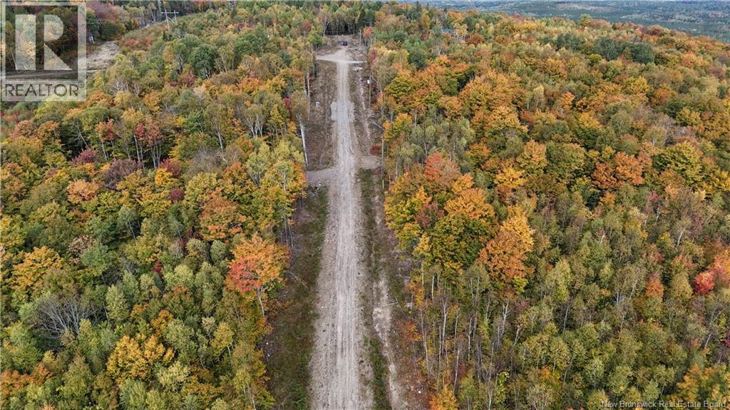 Lot 9 Raven Ridge Road, Central Hainesville, New Brunswick  E6E 2B8 - Photo 3 - NB148778
