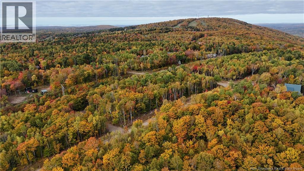 Lot 9 Raven Ridge Road, Central Hainesville, New Brunswick  E6E 2B8 - Photo 4 - NB148778