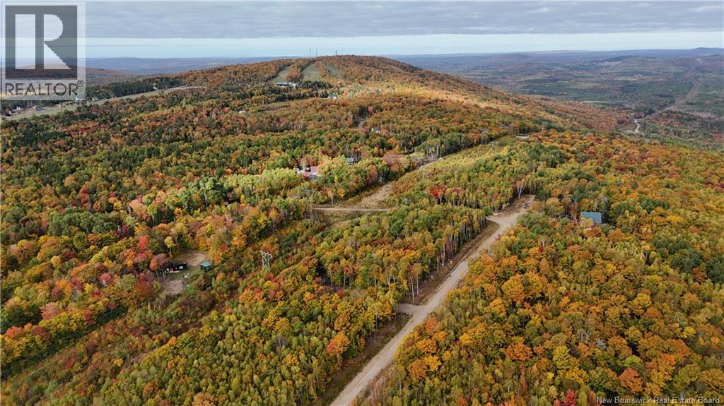 Lot 9 Raven Ridge Road, Central Hainesville, New Brunswick  E6E 2B8 - Photo 7 - NB148778