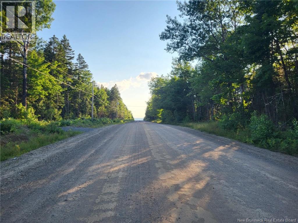 Lot G Zionville Road, Taymouth, New Brunswick  E6C 1Y5 - Photo 3 - NB148882