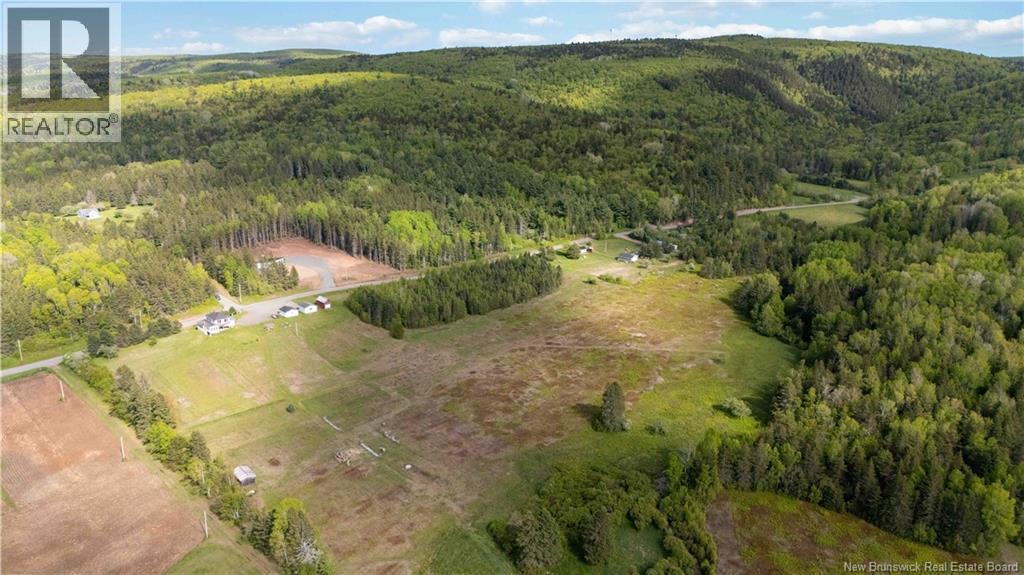 49 Hayward Road, Prosser Brook, New Brunswick  E4Z 1W3 - Photo 34 - NB148894