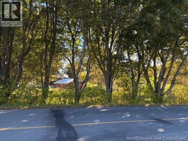 1285 St Peter Avenue, Bathurst, New Brunswick  E2A 3A4 - Photo 12 - NB148917