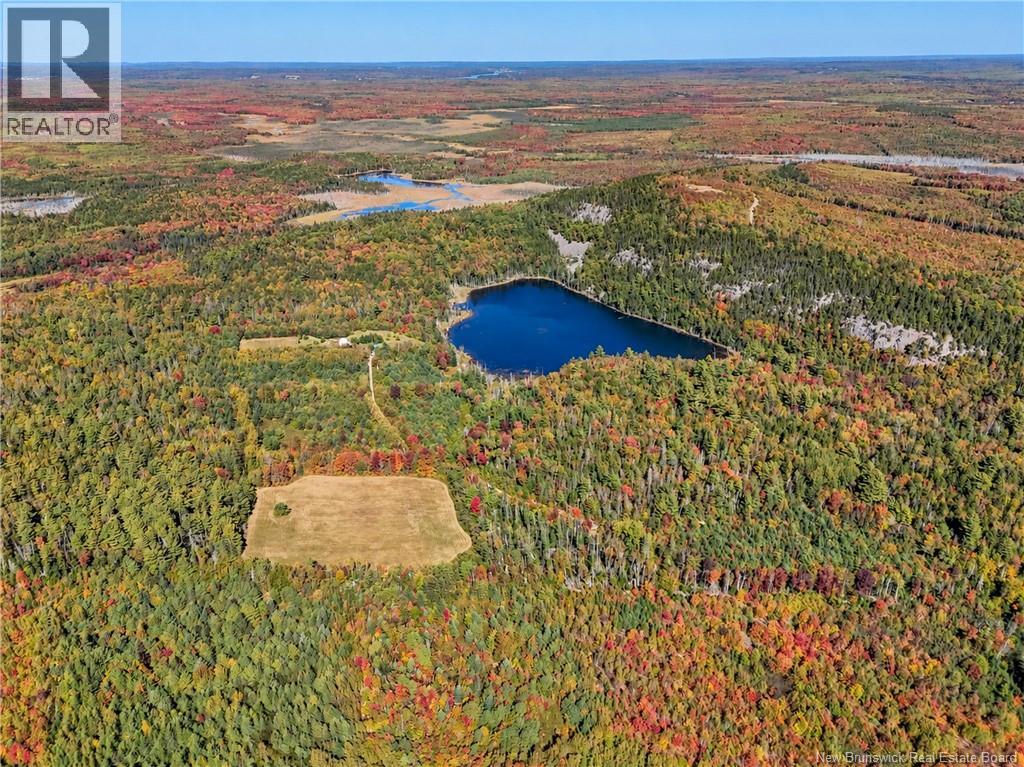 159 Rosborough Road, Harvey, New Brunswick E6K 2P9 - Photo 32 - NB148522