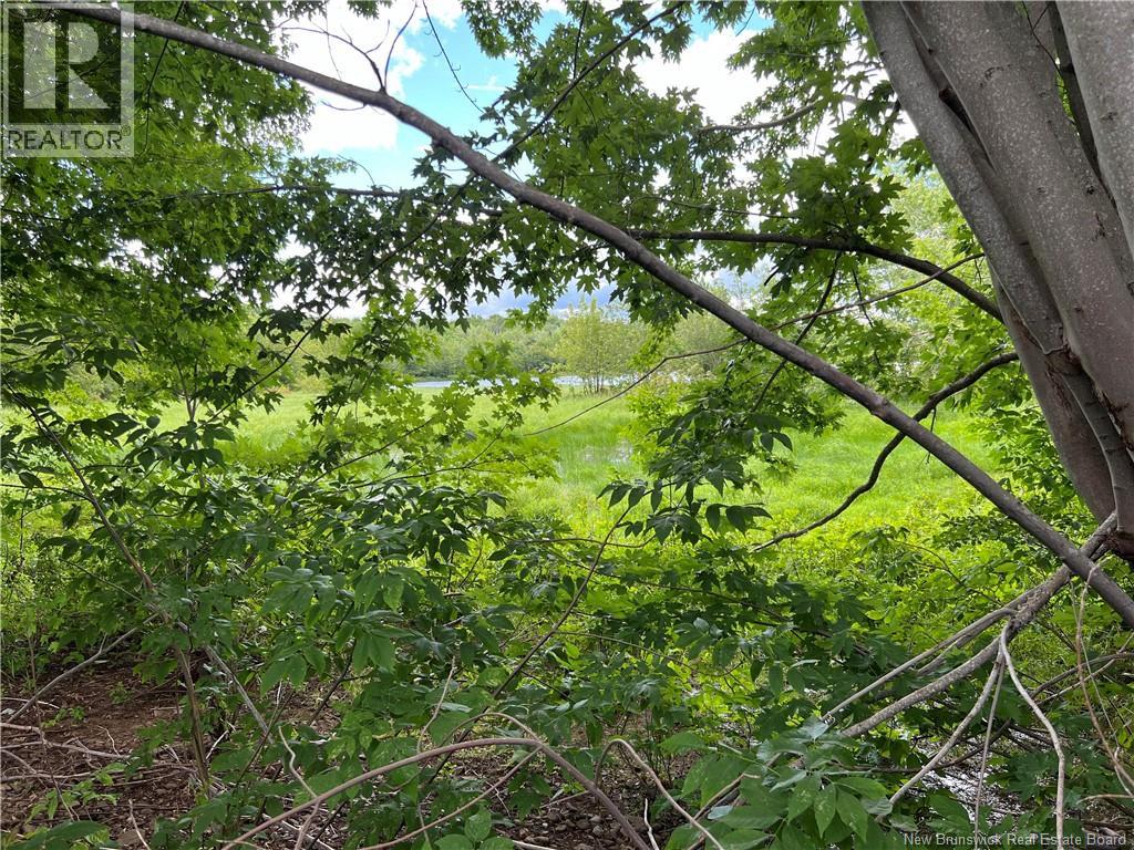 Vacant Lot Lakeview Road, Washademoak, New Brunswick  E4C 2L6 - Photo 28 - NB149051