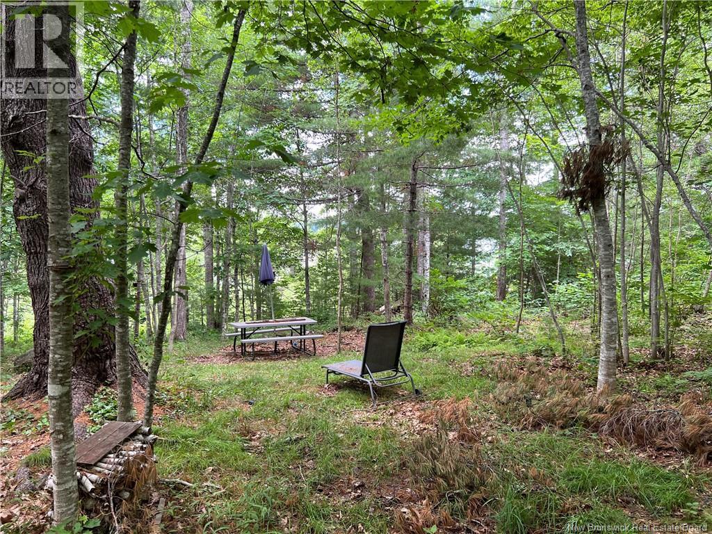 Vacant Lot Lakeview Road, Washademoak, New Brunswick  E4C 2L6 - Photo 29 - NB149051