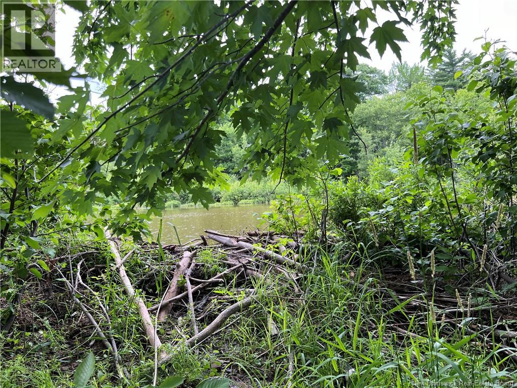 Vacant Lot Lakeview Road, Washademoak, New Brunswick  E4C 2L6 - Photo 30 - NB149051