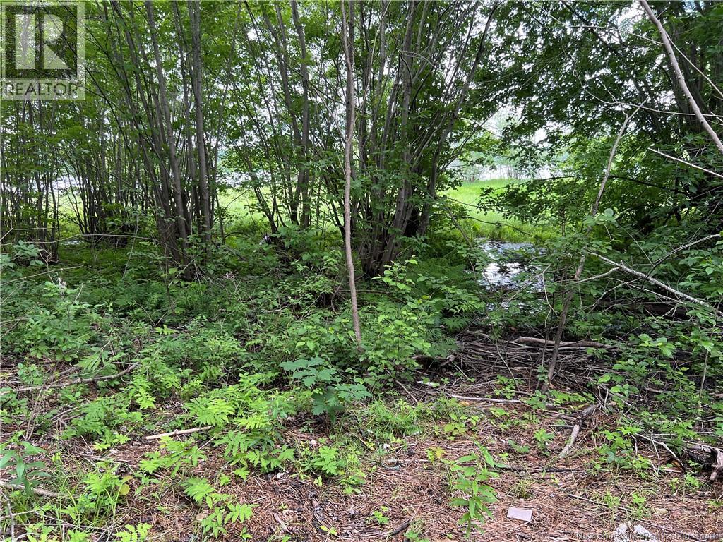 Vacant Lot Lakeview Road, Washademoak, New Brunswick  E4C 2L6 - Photo 36 - NB149051