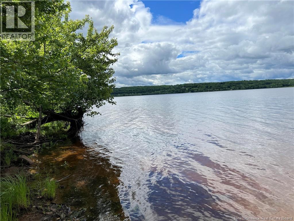 Vacant Lot Lakeview Road, Washademoak, New Brunswick  E4C 2L6 - Photo 37 - NB149051