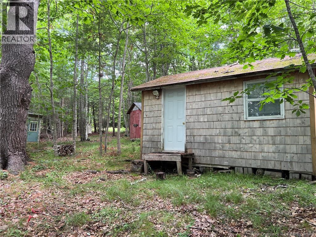 Vacant Lot Lakeview Road, Washademoak, New Brunswick  E4C 2L6 - Photo 5 - NB149051