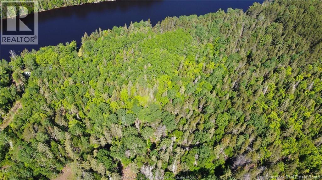 Lot Targetville Road, Browns Yard, New Brunswick E4T 1W7 - Photo 6 - NB147902