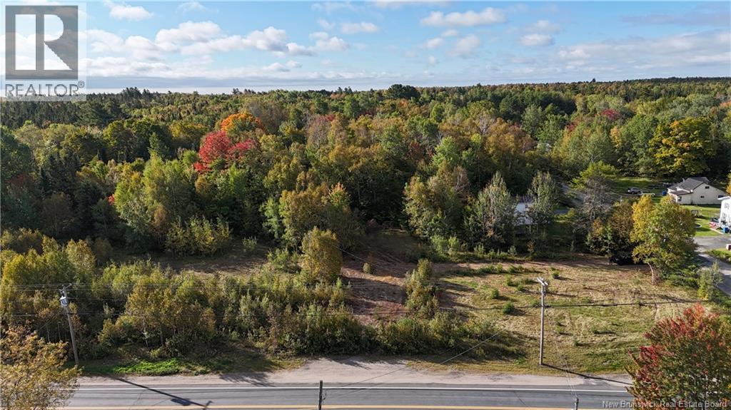 Lot Route 8 Highway, Mcnamee, New Brunswick  E9C 2P6 - Photo 4 - NB149149