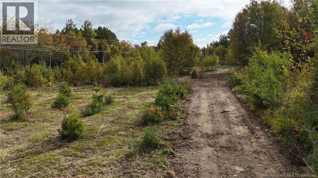 Lot Route 8 Highway, Mcnamee, New Brunswick  E9C 2P6 - Photo 7 - NB149149