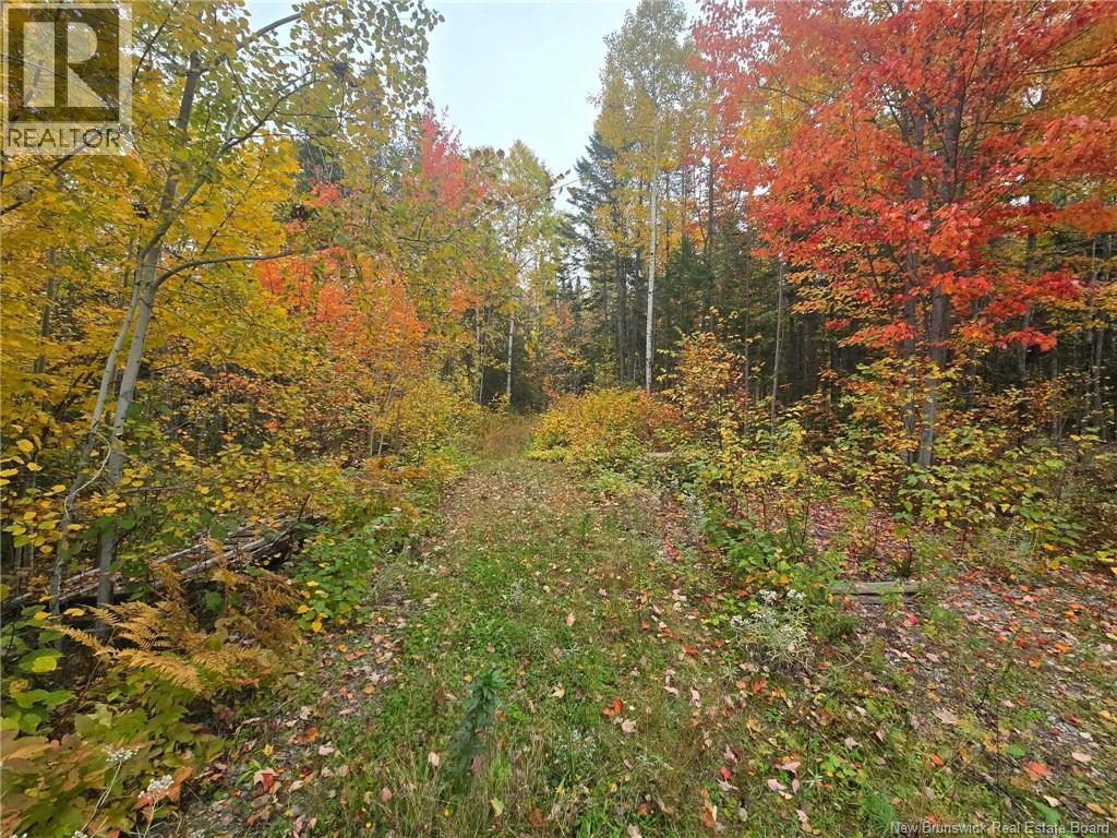 275 Chamberlain Settlement, Chamberlain Settlement, New Brunswick E2A 6G9 - Photo 15 - NB149180