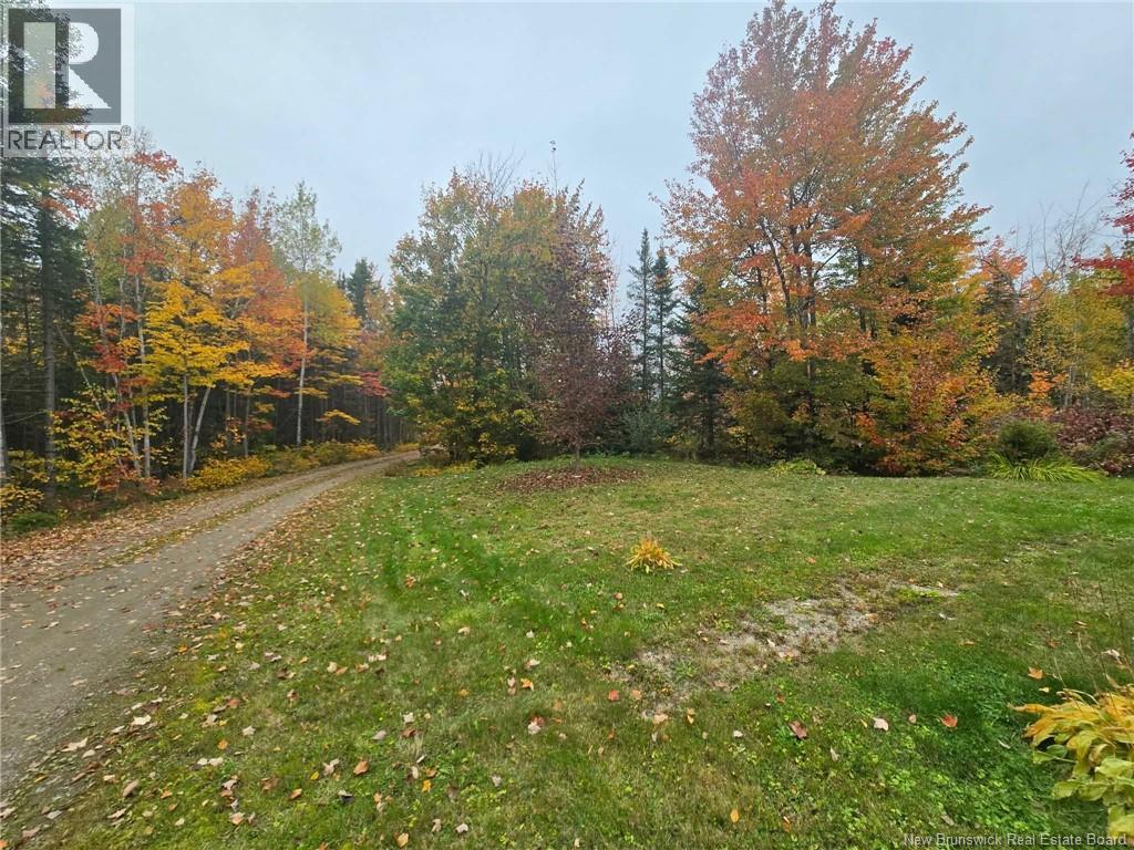 275 Chamberlain Settlement, Chamberlain Settlement, New Brunswick E2A 6G9 - Photo 17 - NB149180