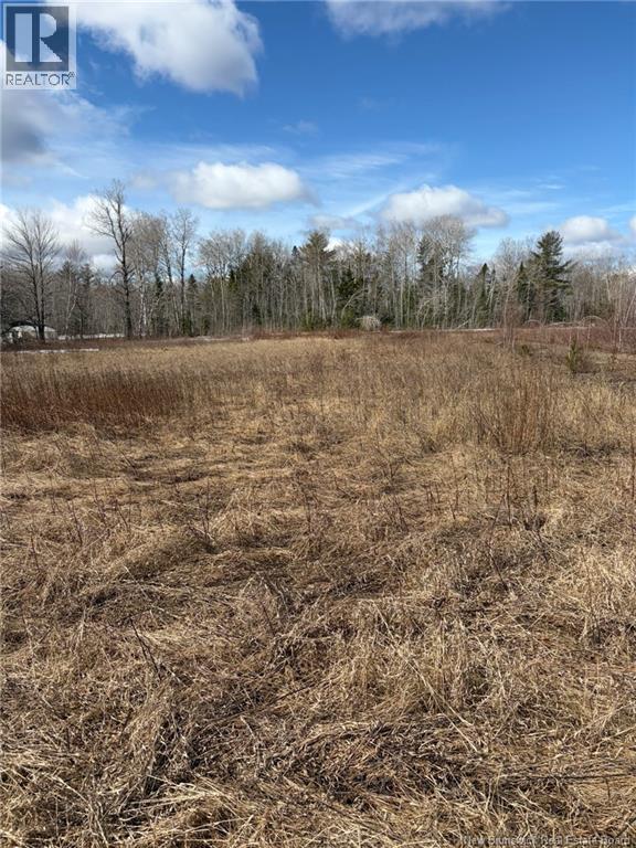1 Acre Bellefond Road, Bellefond, New Brunswick  E1V 4T6 - Photo 3 - NB149194