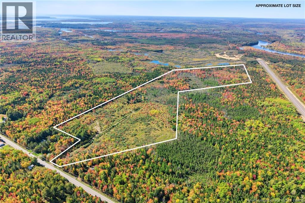Lot Highway 10, Coal Creek, New Brunswick  O0O 0O0 - Photo 3 - NB149265