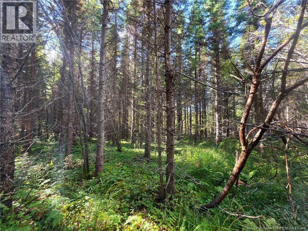 Lot 25-3 Mulligan Road, Fundy, New Brunswick  E4H 2M3 - Photo 1 - NB149033
