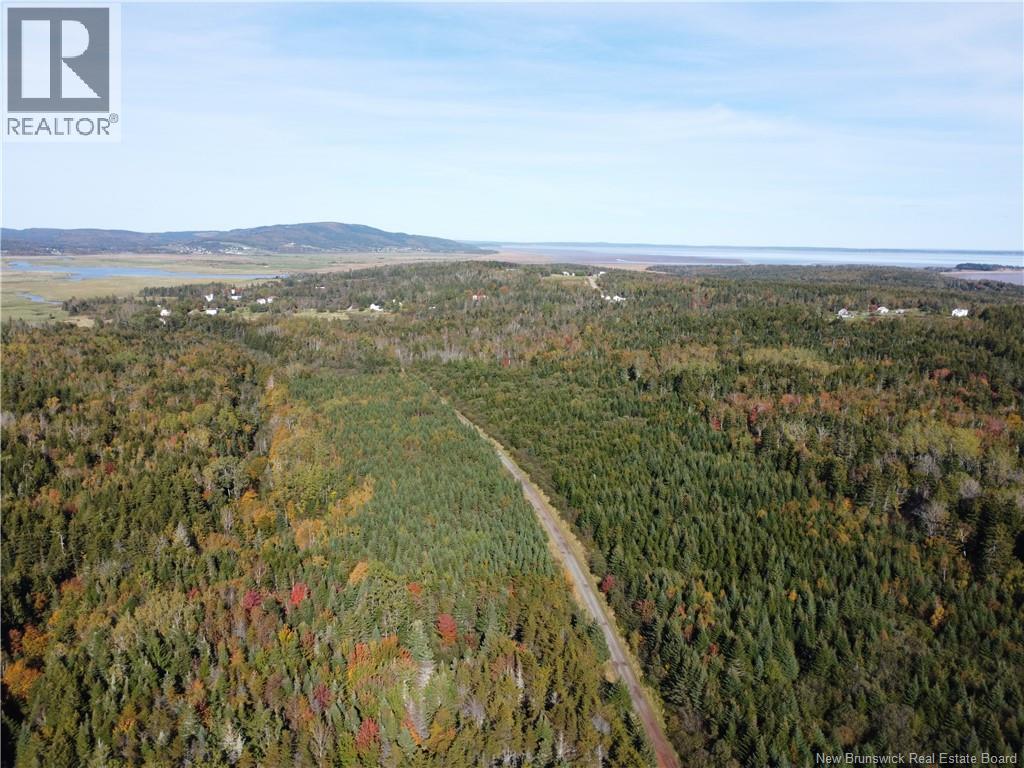 Lot 25-3 Mulligan Road, Fundy, New Brunswick  E4H 2M3 - Photo 10 - NB149033