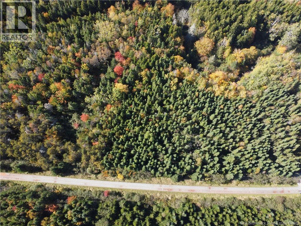 Lot 25-3 Mulligan Road, Fundy, New Brunswick  E4H 2M3 - Photo 11 - NB149033