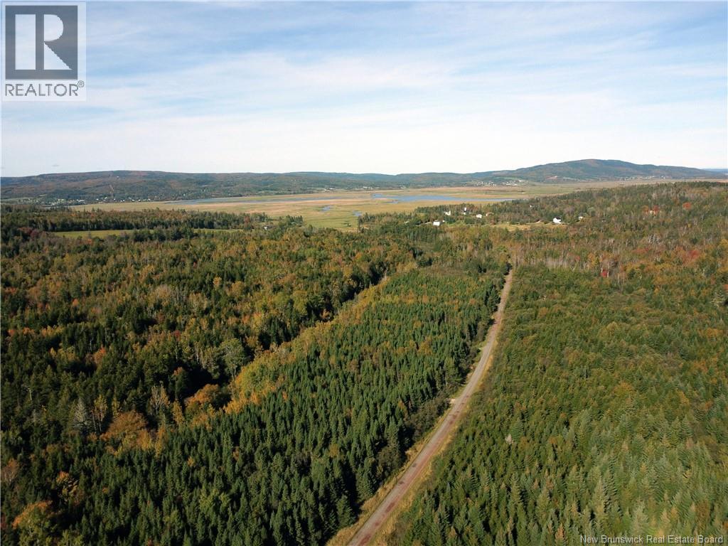 Lot 25-3 Mulligan Road, Fundy, New Brunswick  E4H 2M3 - Photo 13 - NB149033