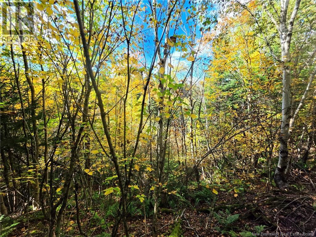 Lot 25-3 Mulligan Road, Fundy, New Brunswick  E4H 2M3 - Photo 15 - NB149033